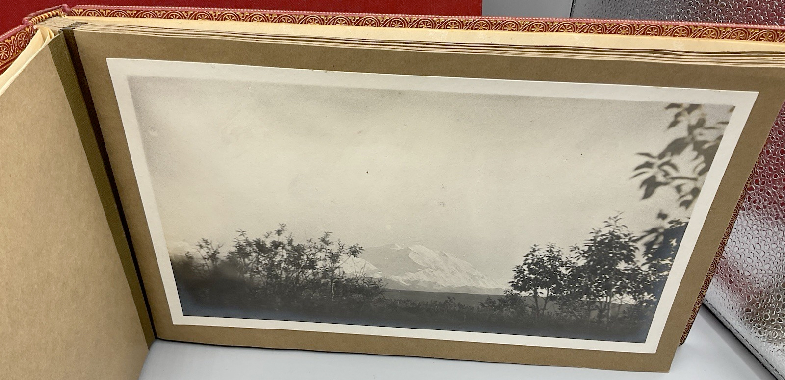 For sale: 1925 Mount Dall hunting trip photo album
              from William N. Beach to Andy Simons!