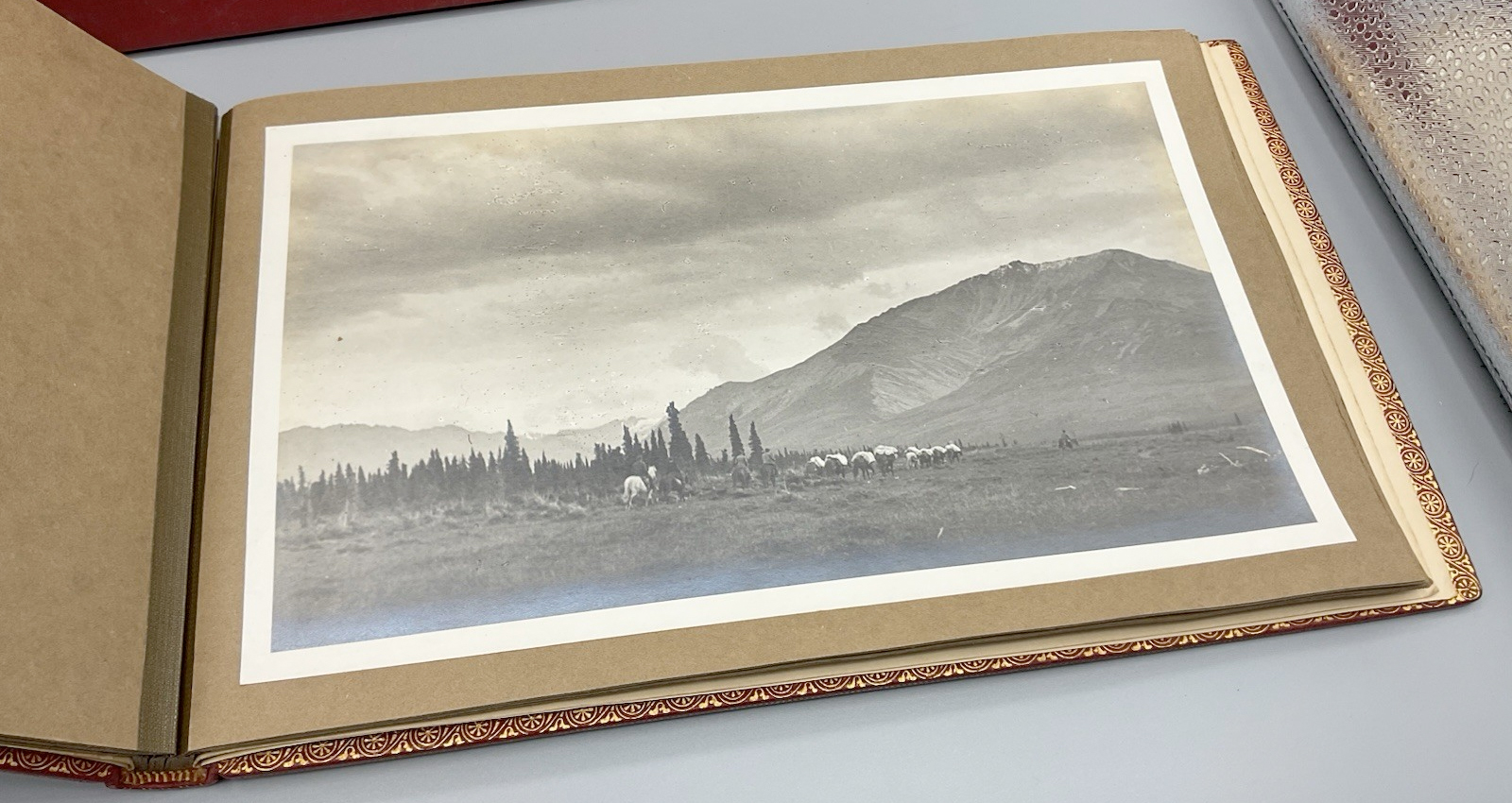 For sale: 1925 Mount Dall hunting trip photo album
              from William N. Beach to Andy Simons!