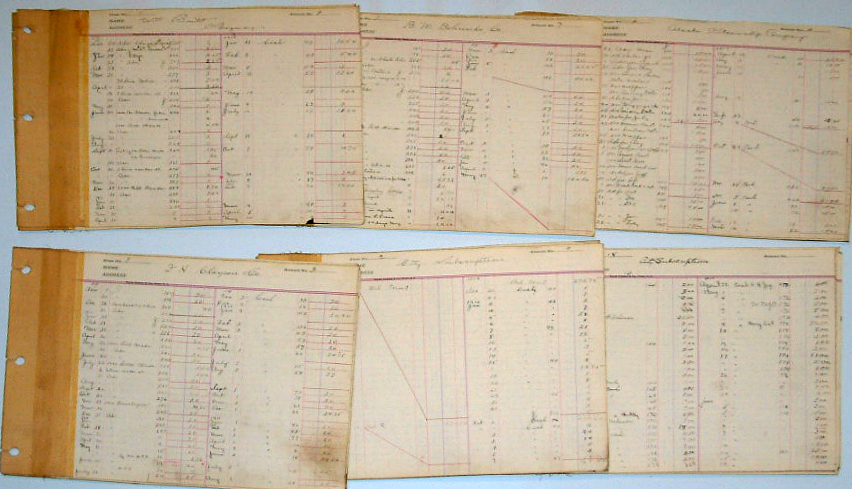 For sale: documents, records,
                and ledgers, of the Arctic Brotherhood, circa
                1908-1920.