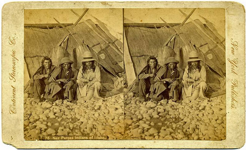 Original albumen stereoview of Nez Perce Indians of
              Idaho for sale