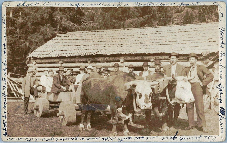 For sale: a 1913 real photo postcard of the Thomas
              Baker farm at Hood Bay, Alaska, postmarked Killisnoo.