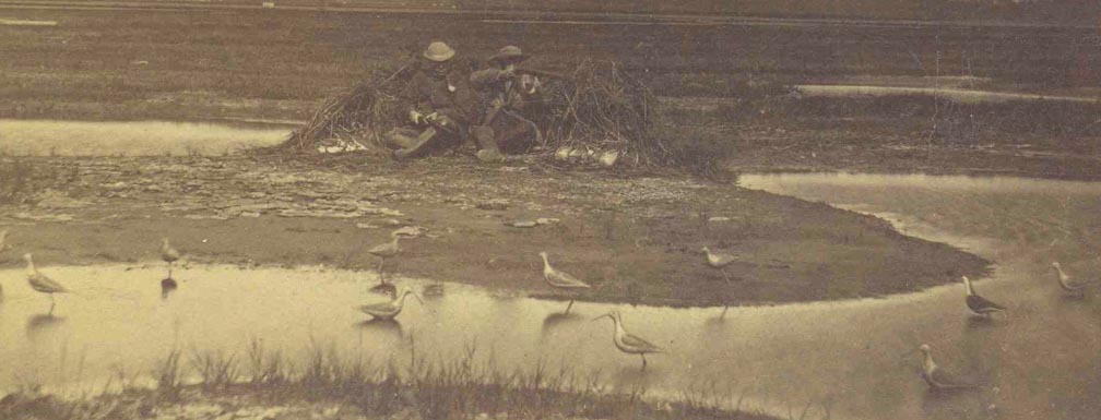For sale: Original stereoview of hunters with
              shorebird decoys.