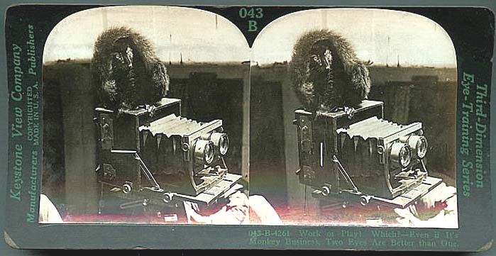 For sale: stereoview of a monkey on a stereoscopic
              camera.