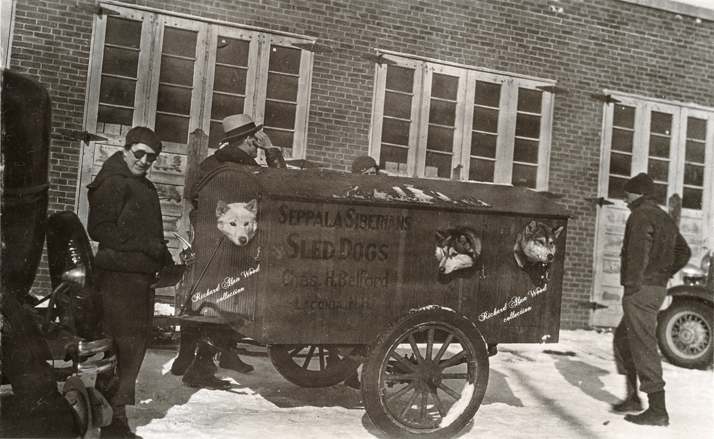 For sale: original photograph of Charles Belford's
              dog trailer Seppala's Siberians.
