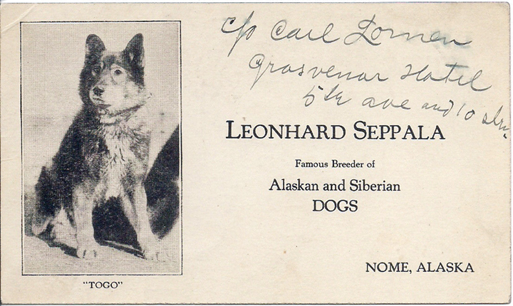 For sale: Leonhard
              Seppala's original advertising card, or postcard, of Togo
              sent to Carl Lomen!