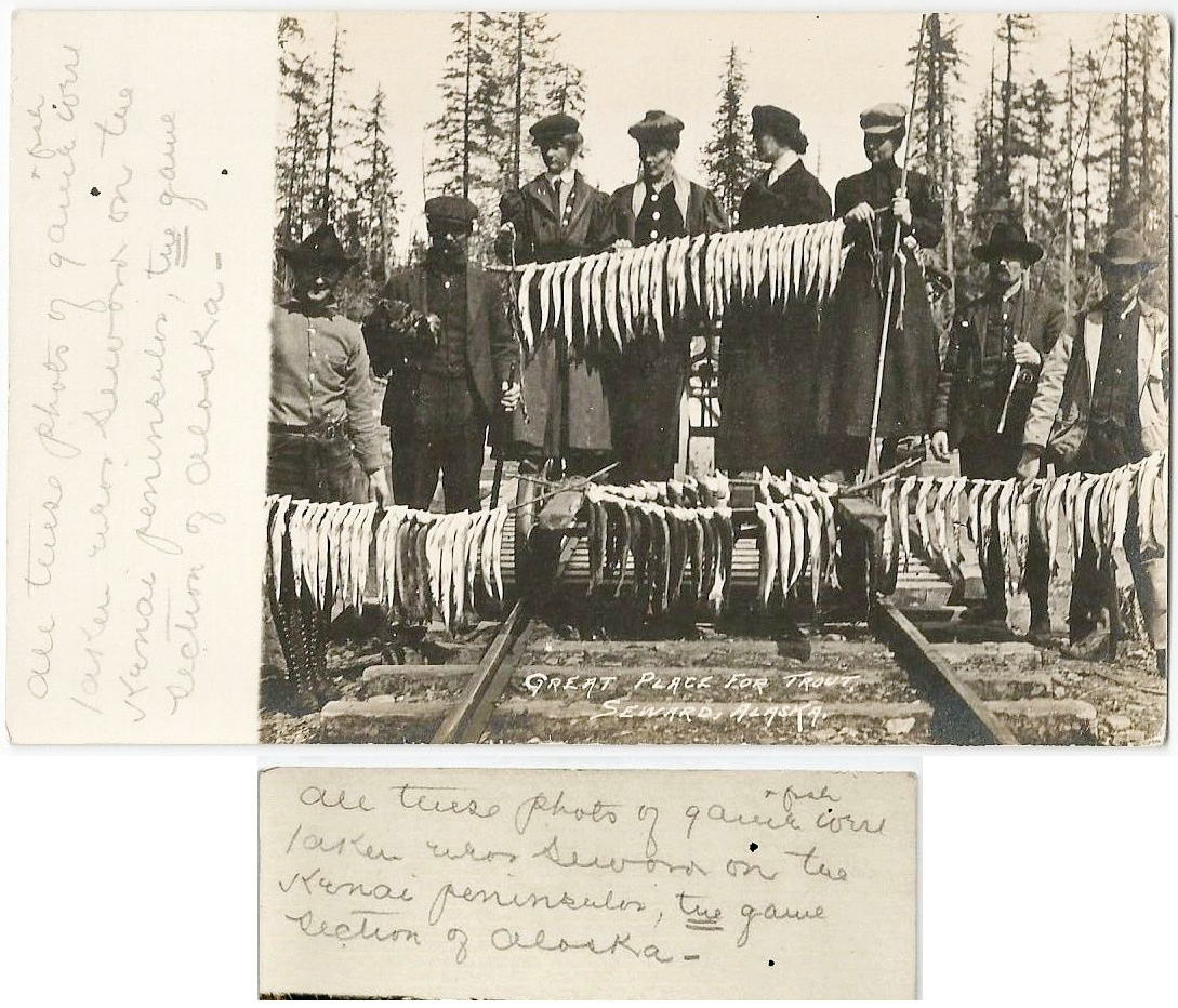 For sale: 1909 real photo postcard
              of trout fishing at Seward Alaska.