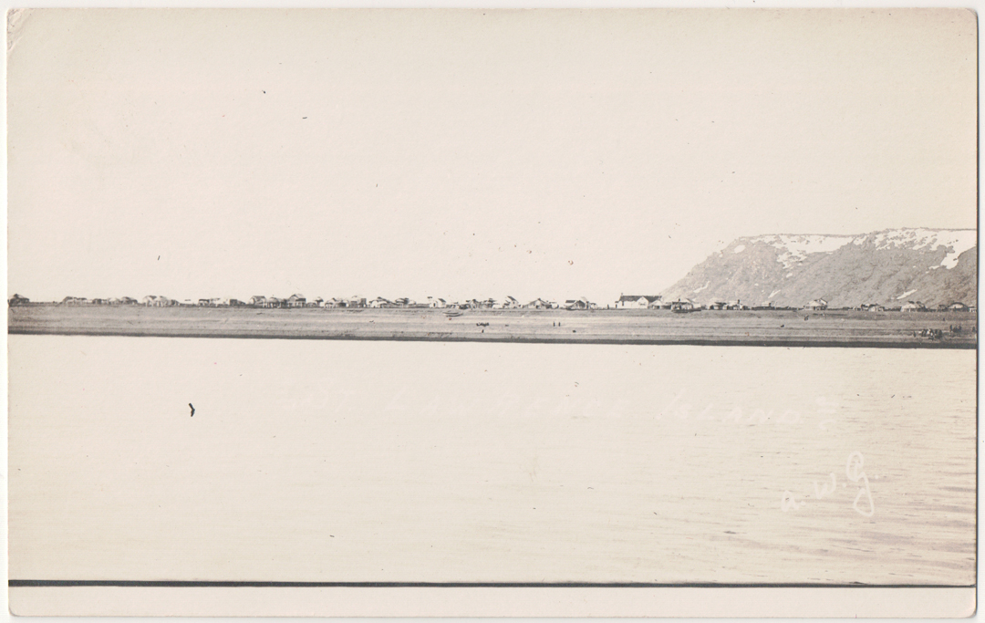 For sale: original real-photo postcard of Saint
              Lawrence Island, Alaska, over 100 years old.