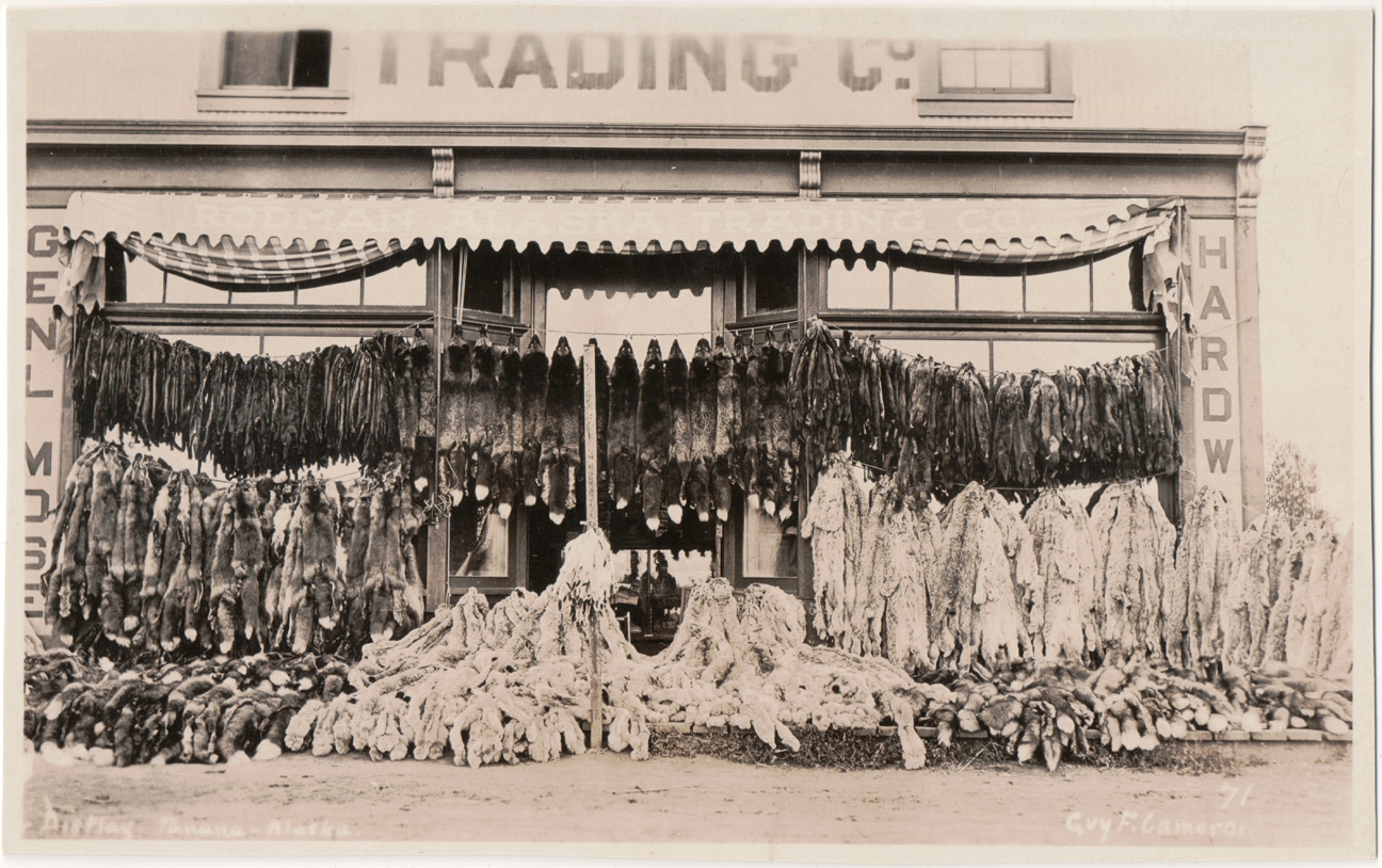 For sale: RPPC of the Rodman Alaska Trading Company's
              display of furs in Tanana, Alaska.