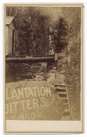 Original CDV photograph of Drake's Plantation Bitters
              S.T. 1860-X. advertisement for sale.